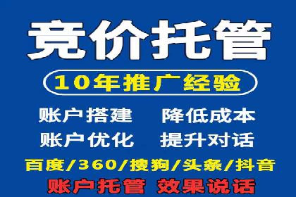 专业SEM运营托管服务案例分析